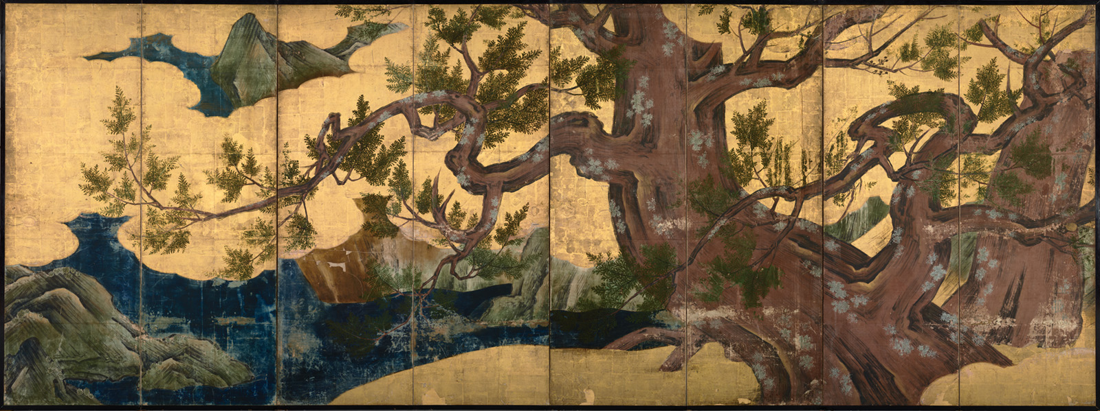 cypress trees